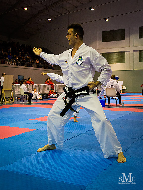 COPA SEUL, 2017  (168).JPG